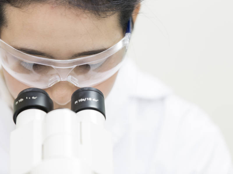 Level 3 Pharmacy Technician Apprenticeship Standard City Of level-3-pharmacy-technician-apprenticeship-standard-city-of