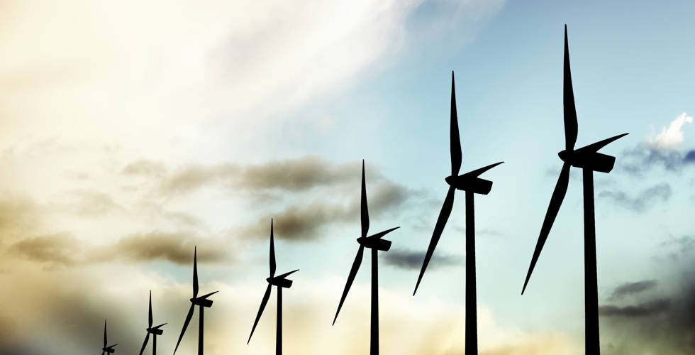 Level 2 Gaining experience in net zero industries