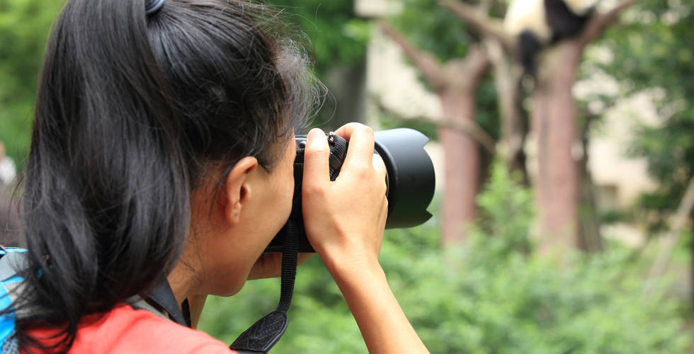 Entry Level 3 Wildlife Photography