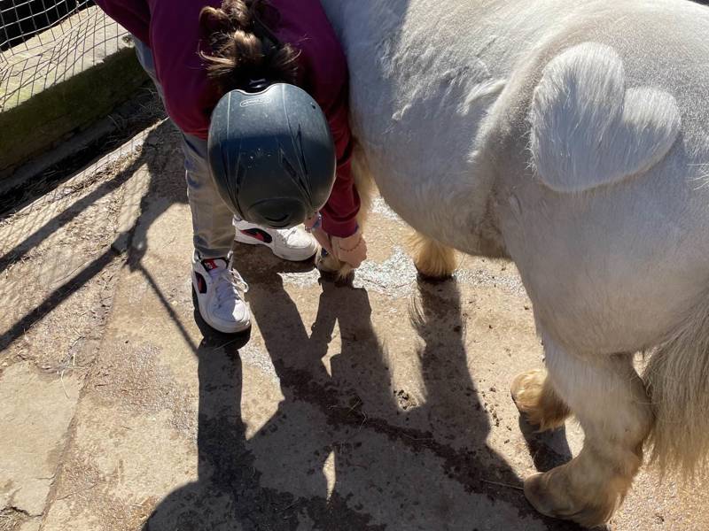 COPC student checking a pony's hooves at Fort Widley.