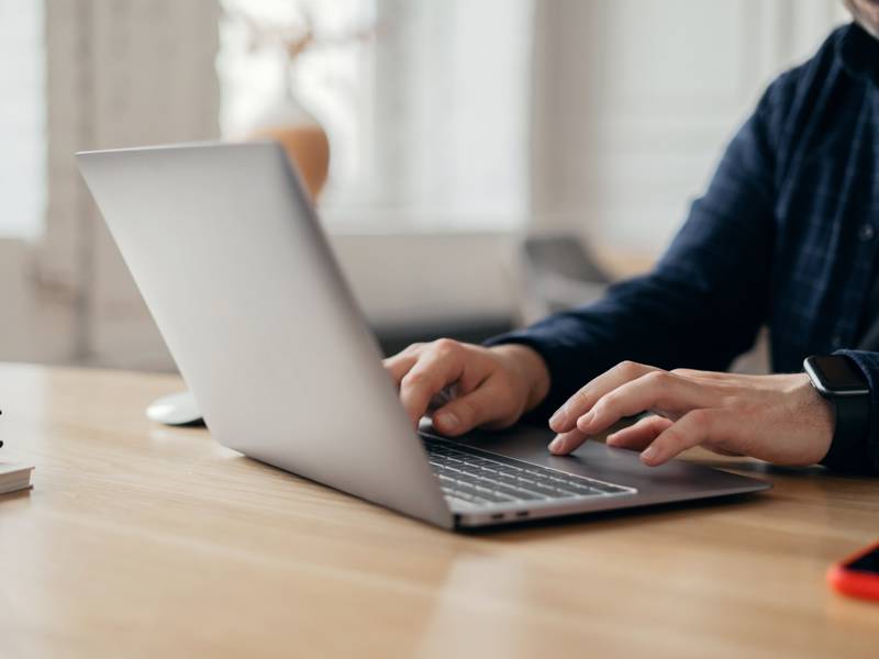 Image of student working at a laptop.