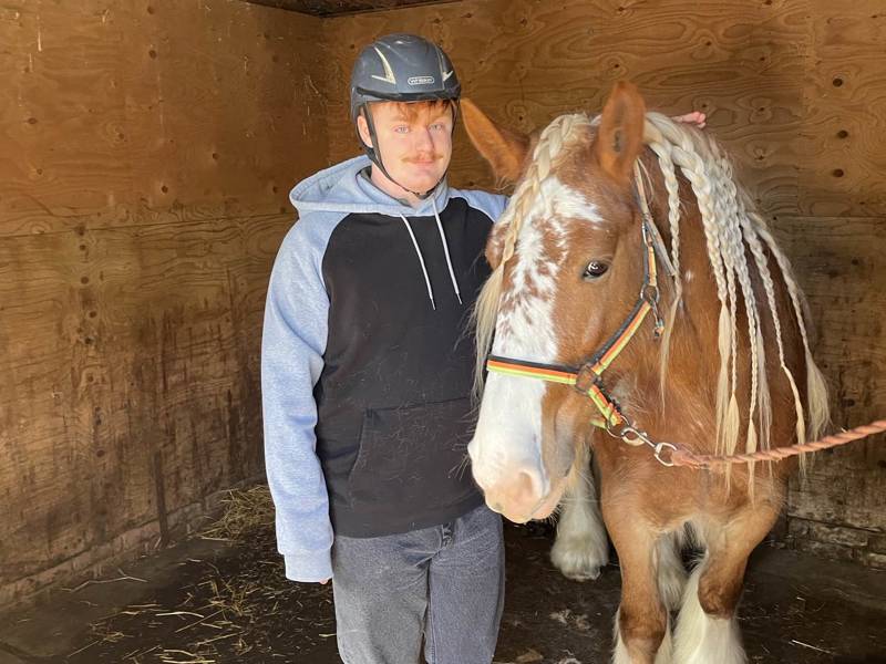 Male Animal Care student seen with pony in stable at Fort Widley.